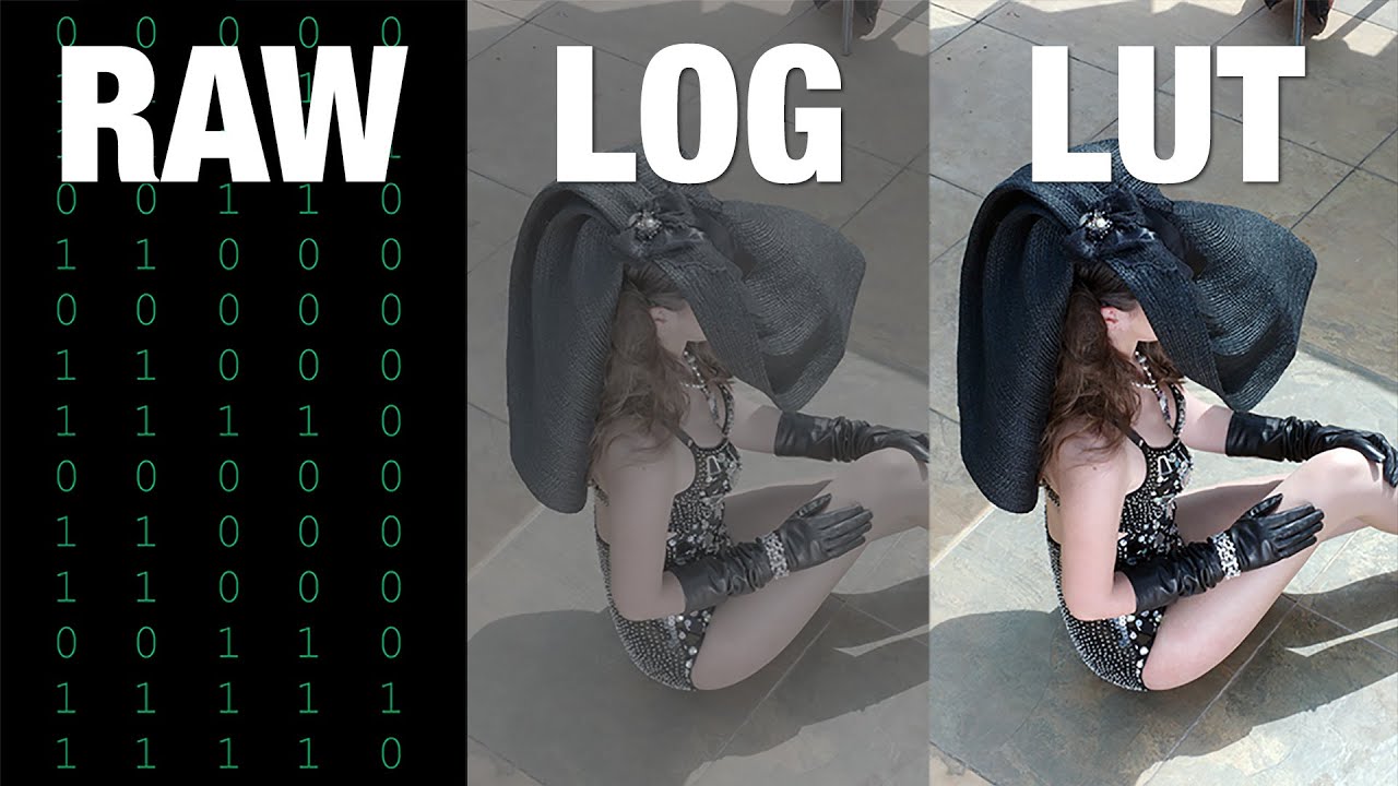Demystifying RAW, Log, LUTs, and Compression for Cinematic Quality