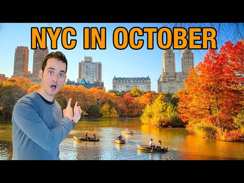 What's Different in New York City? (October OPENINGS & UPDATES!)