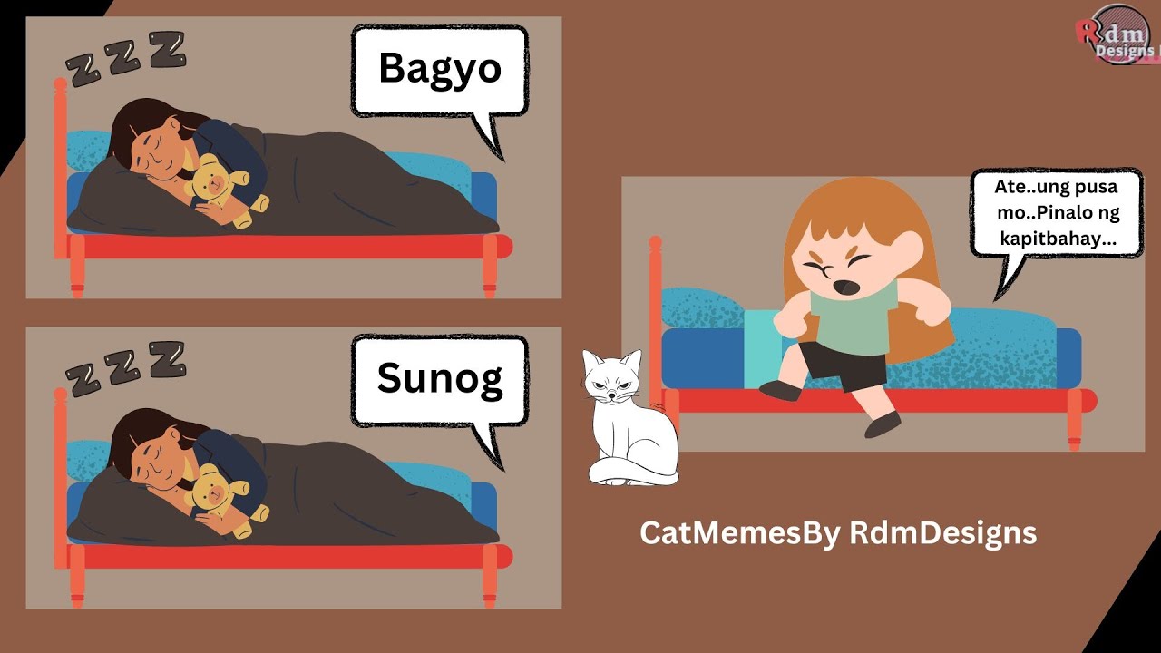 Rdm Designs' Funny Cat Memes 🐱 | Philippines' Cat Lovers