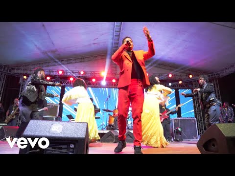 Leul Sisay - Zefkira - ዘፍቅራ _ Leul Concert (Official Music Video)