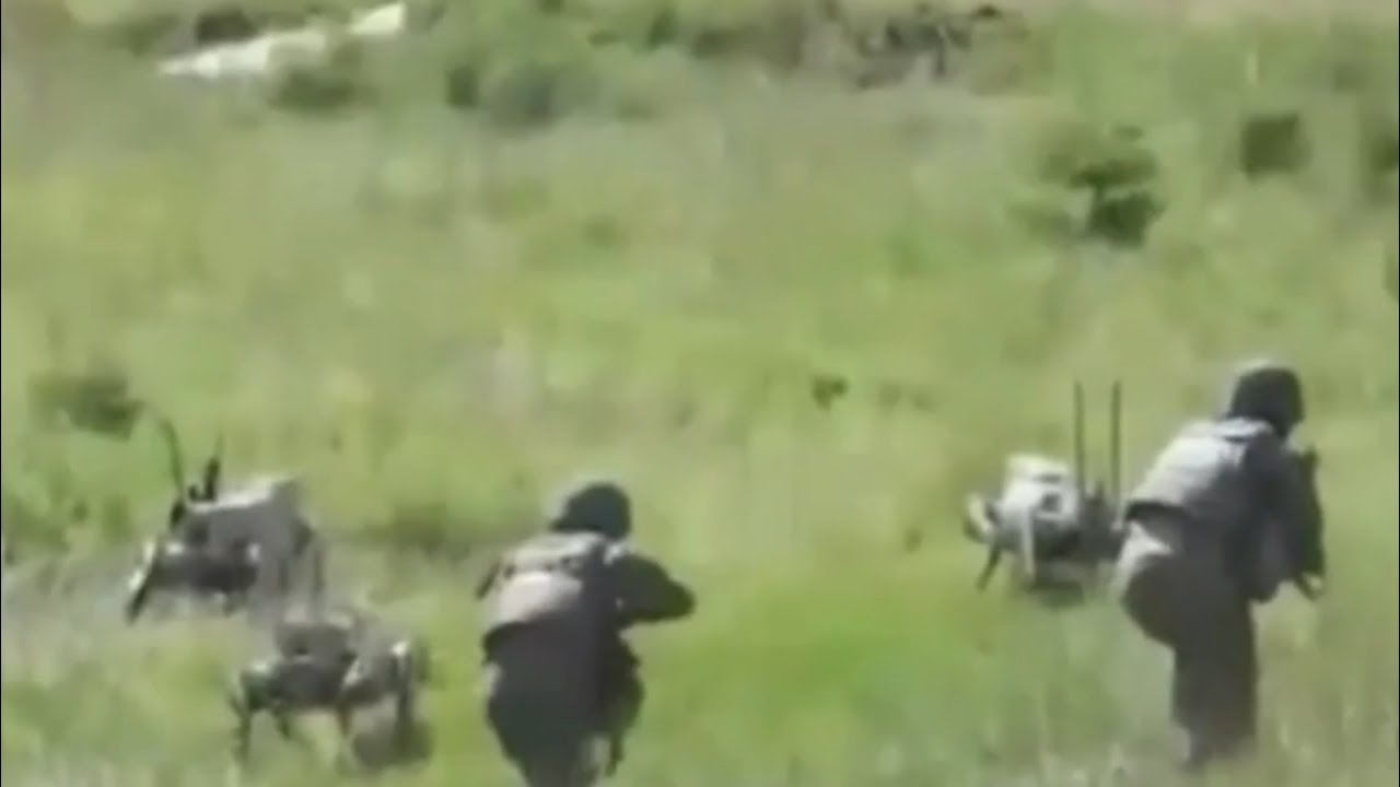 China Develops Blood-Covered Robot Wolves 🐺