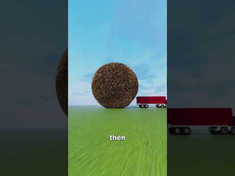 What If We Shaved Off Everyoneโs Hair? ๐ค