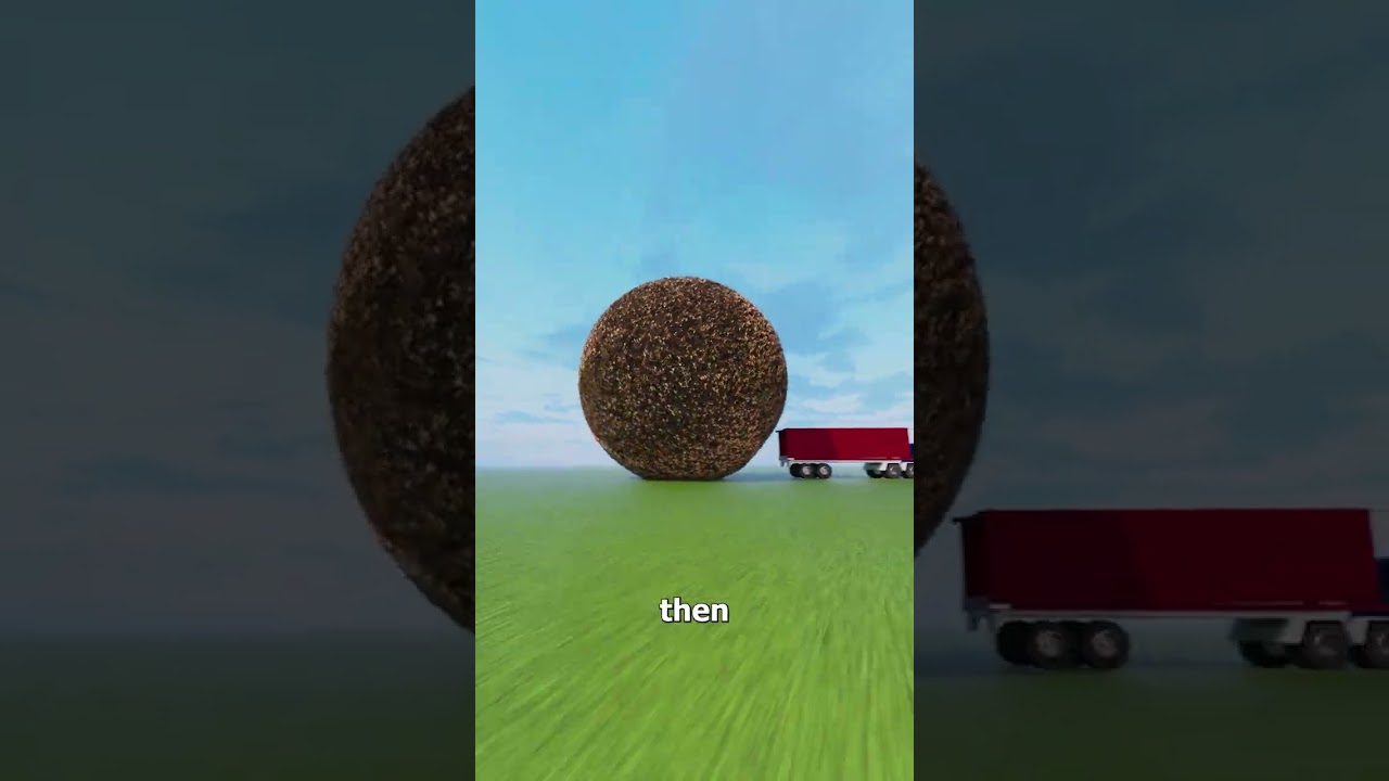 What Would Happen If Everyone Shaved Their Heads? π€