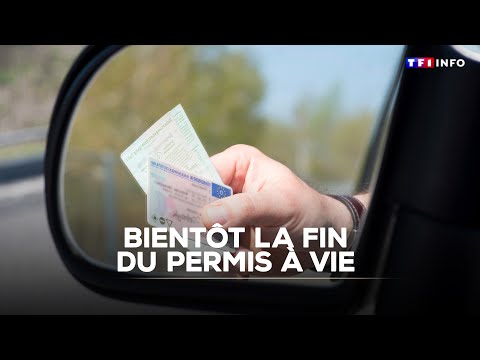 Bientôt la fin du permis à vie|TF1 INFO