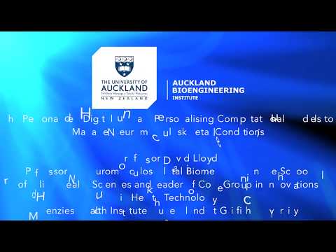 Personalised Digital Human: Personalising Computational Models to Manage Neuromusculoskeletal ...