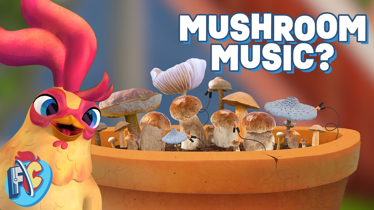 Making Music with Mushrooms 🎶