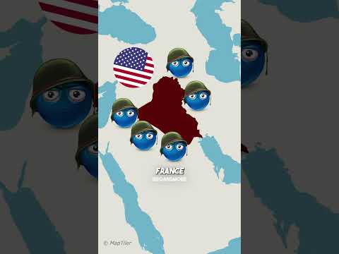 How did countries react to the invasion of iraq? #history