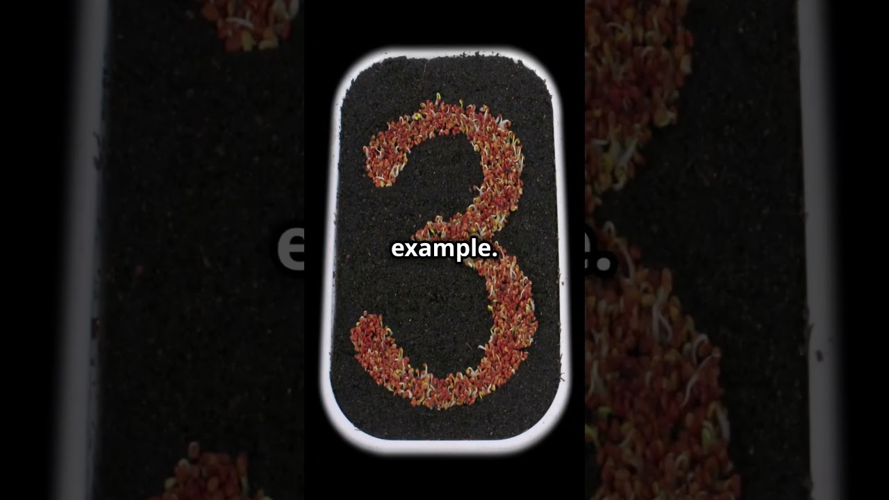 Unlock the Secrets of the Caesar Cipher π