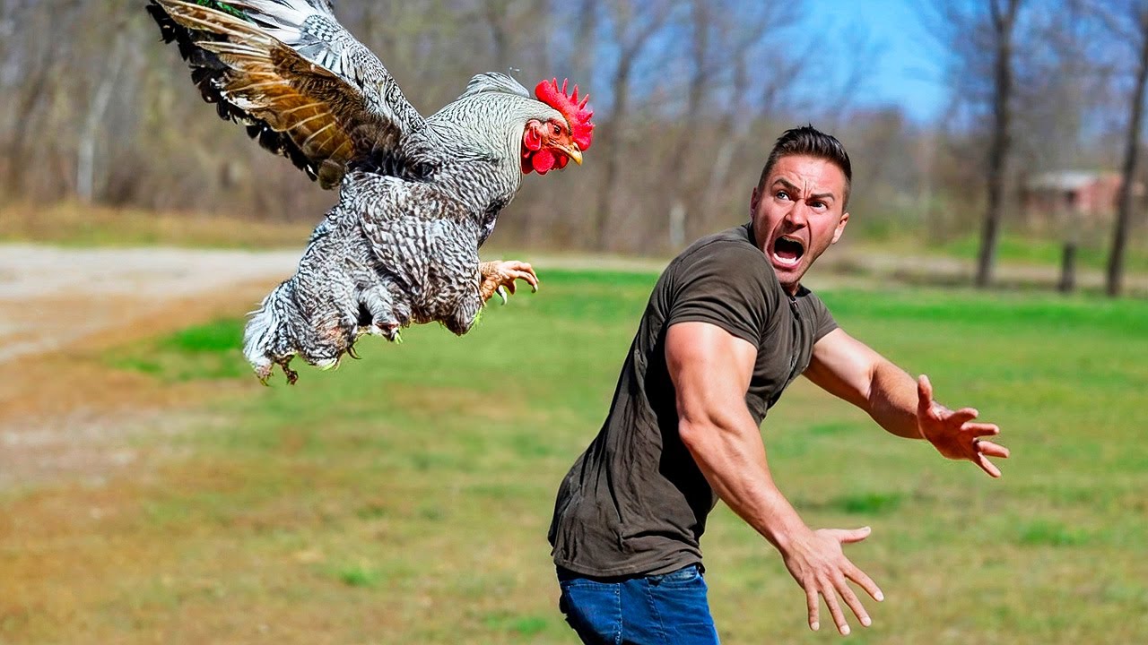 Забавные моменты с животными 🐶🐱