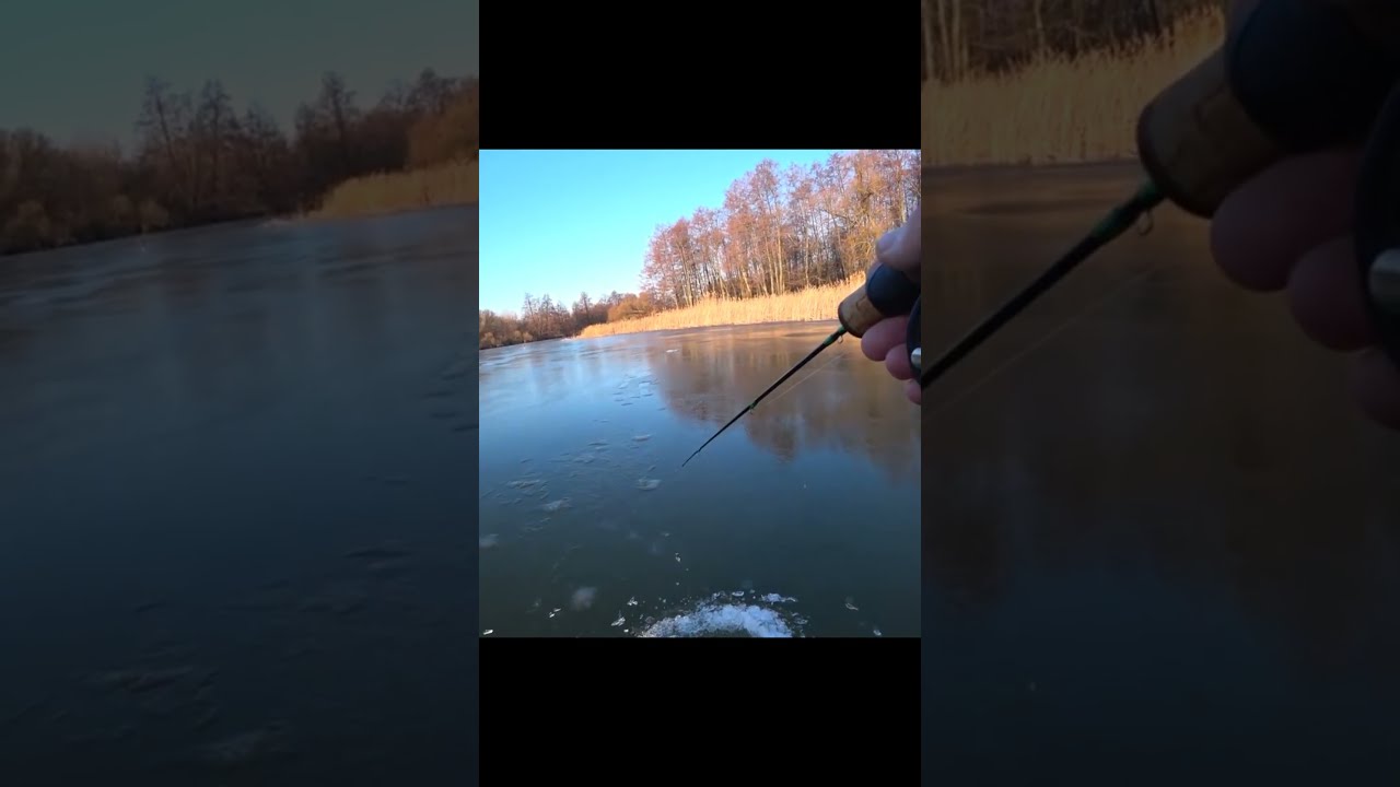 Рабочая проводка на балансир для начинающих 🎣