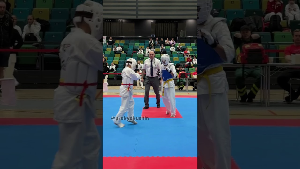 Kyokushin Nordic Cup 2025 in Turku 🇫🇮