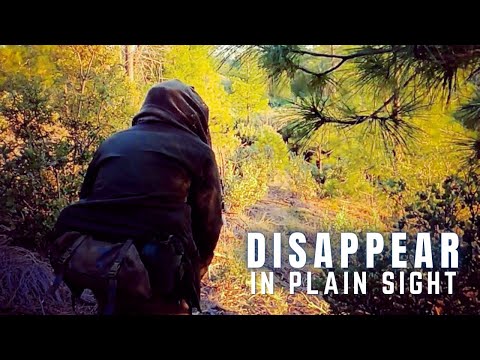 Escape and Evasion (E&E) Principles: Camouflage and Concealment