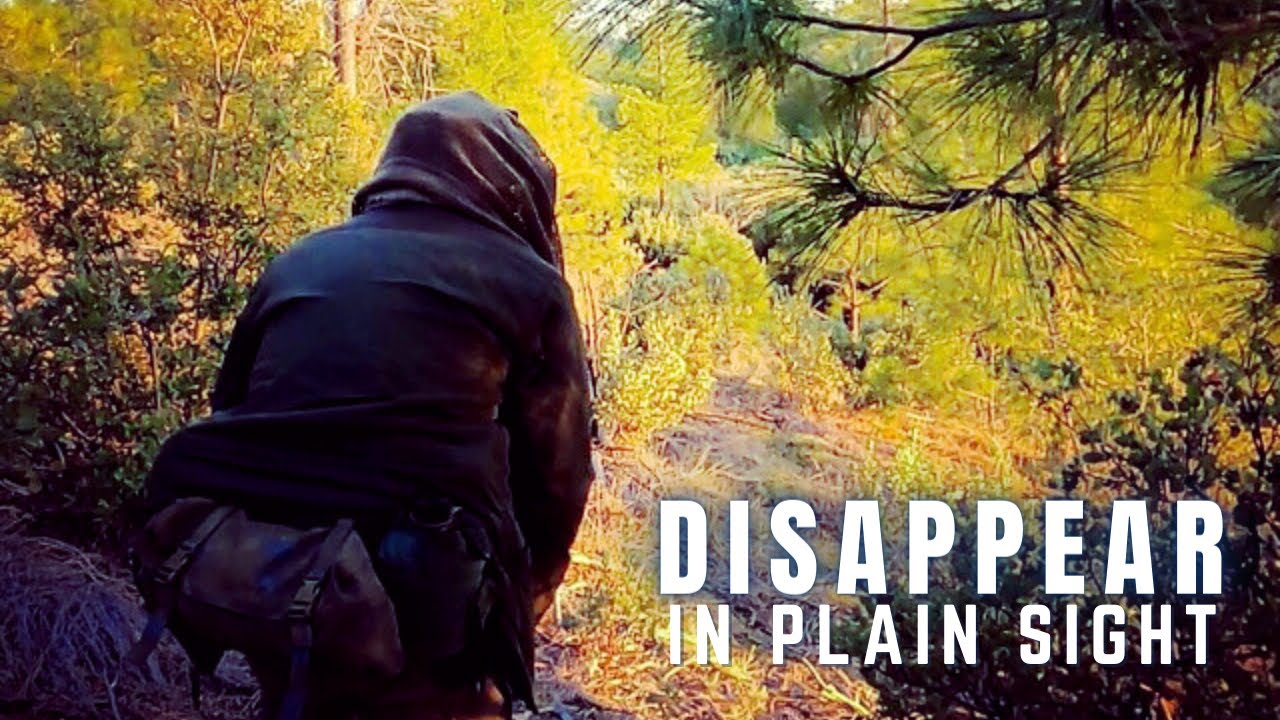 Master Escape & Evasion: Essential Camouflage & Concealment Techniques 🕵️‍♂️