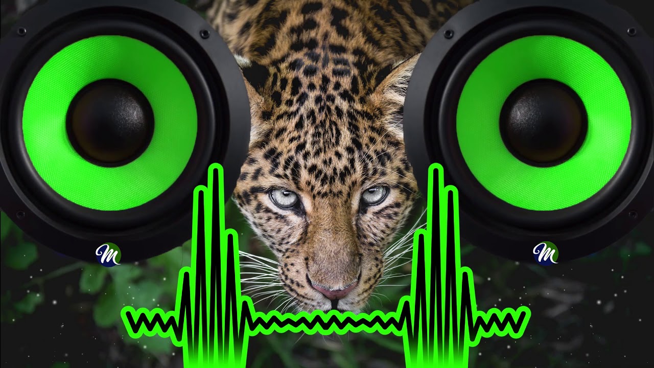 Mega Bassboosted Mix - Bass Test by MagicBoosterz 🎵