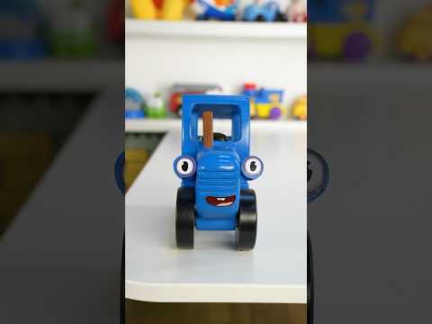 Кукутики Шортс / Kukutiki Shorts