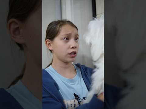 Про собаку: 5 серия #vikazang #сериал #викачжан #фильм