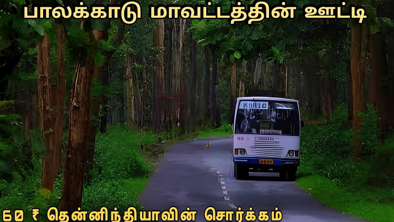 பருவ மழையில் இயற்கையின் அற்புதம்: நெம்மரா முதல் கரப்பாறா வரை பயணம் 🌧️