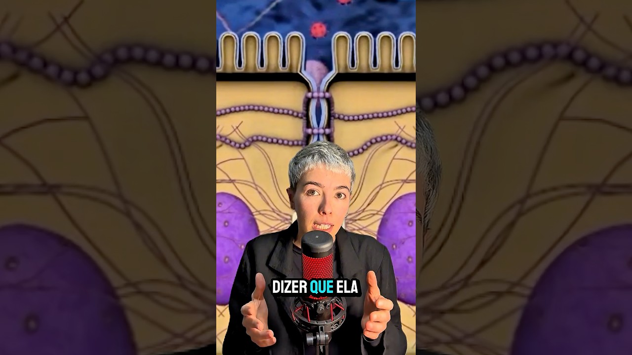 Tipos de transporte pela membrana celular 🚶♂️