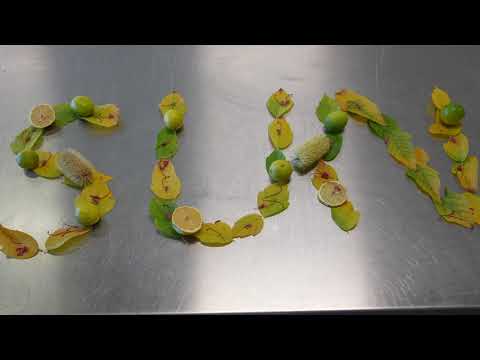 Story Factory: CineVerse - Lemons 🍋