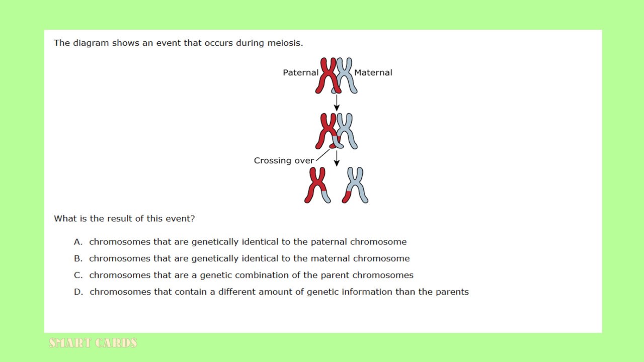 GED Test Science Practice