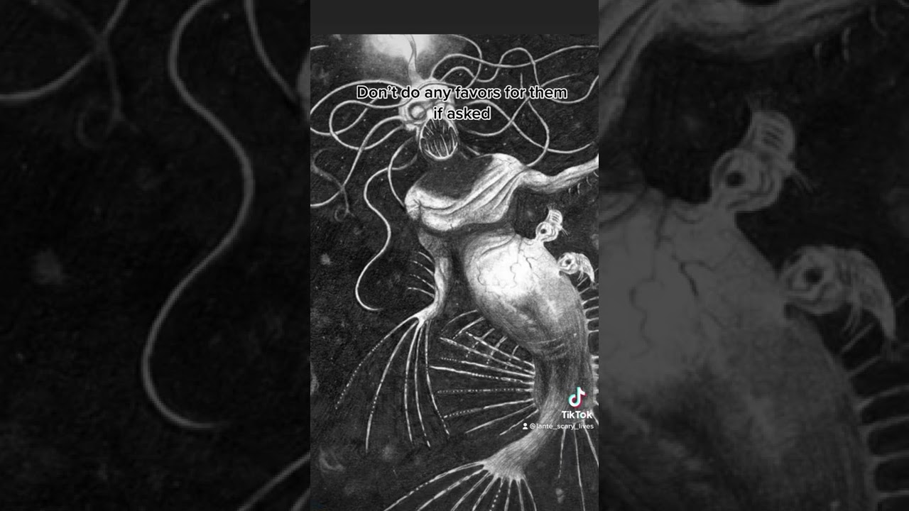 Mermaids & Sirens: What to Do When You Spot Them 🧜‍♀️