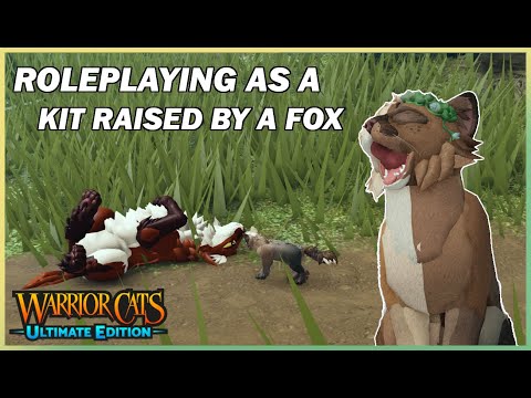 Roleplaying as a KIT RAISED BY A FOX | Warrior Cats: Ultimate Edition