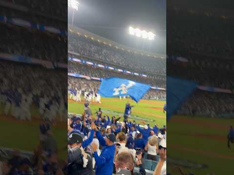 Freddie Freeman walk off Home run @MLB @Dodgers #freddiefreeman