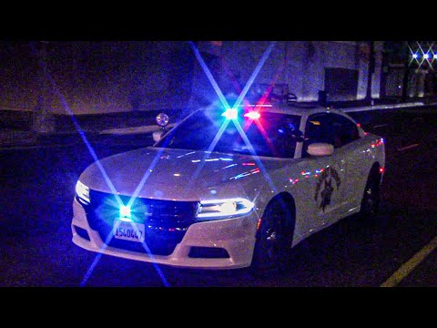 *2 in 1* CHP Polar Bear Traffic Stop + LAPD Response