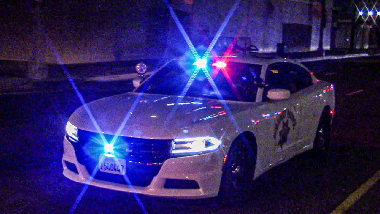 π CHP Polar Bear Conducts Traffic Stop on Manchester Ave | LAPD Response