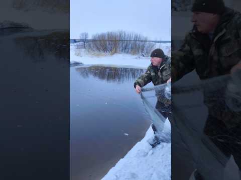 Даже зимой в Сибири можно ловить в кастинг #casting #fishing #рыбалка #кастинговая