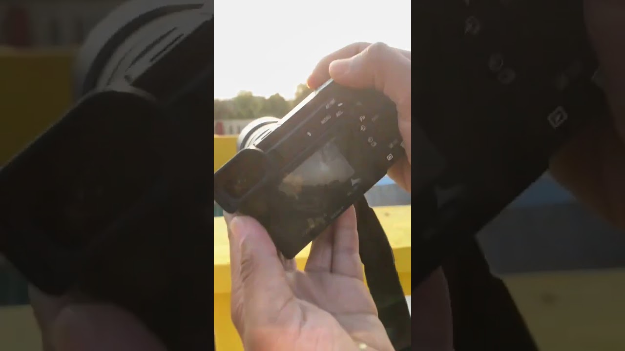 Bird Photography with Sony A6100 📸