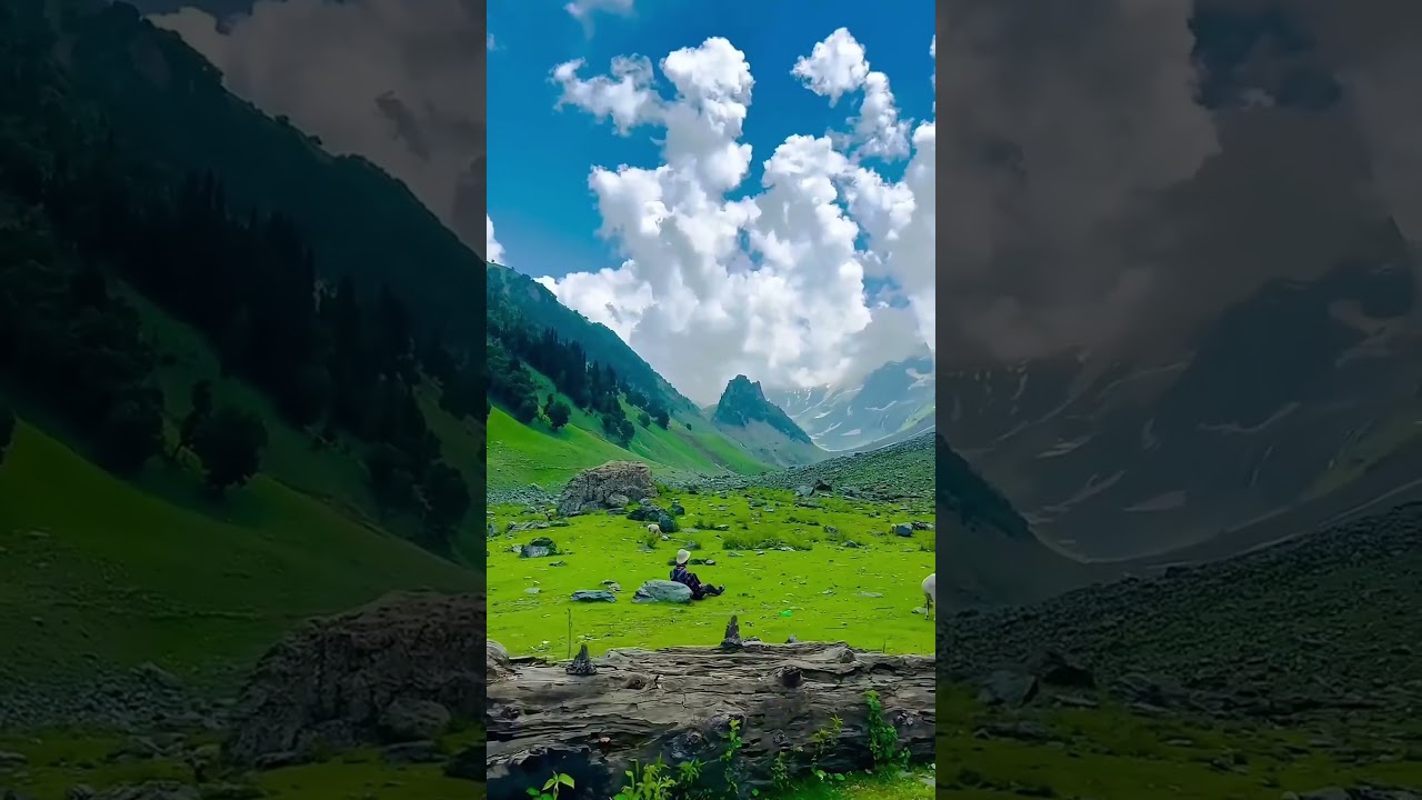 Qafirana Sa Hai 🌸 Love & Nature Short Video