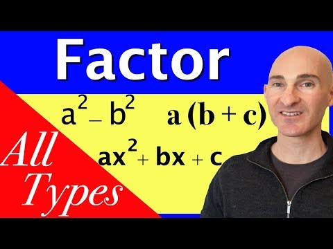 Understanding Different Types of Factoring