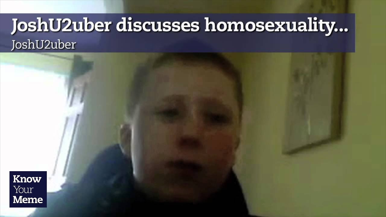 Know Your Meme: Troll Bait Explained 🕵️‍♂️