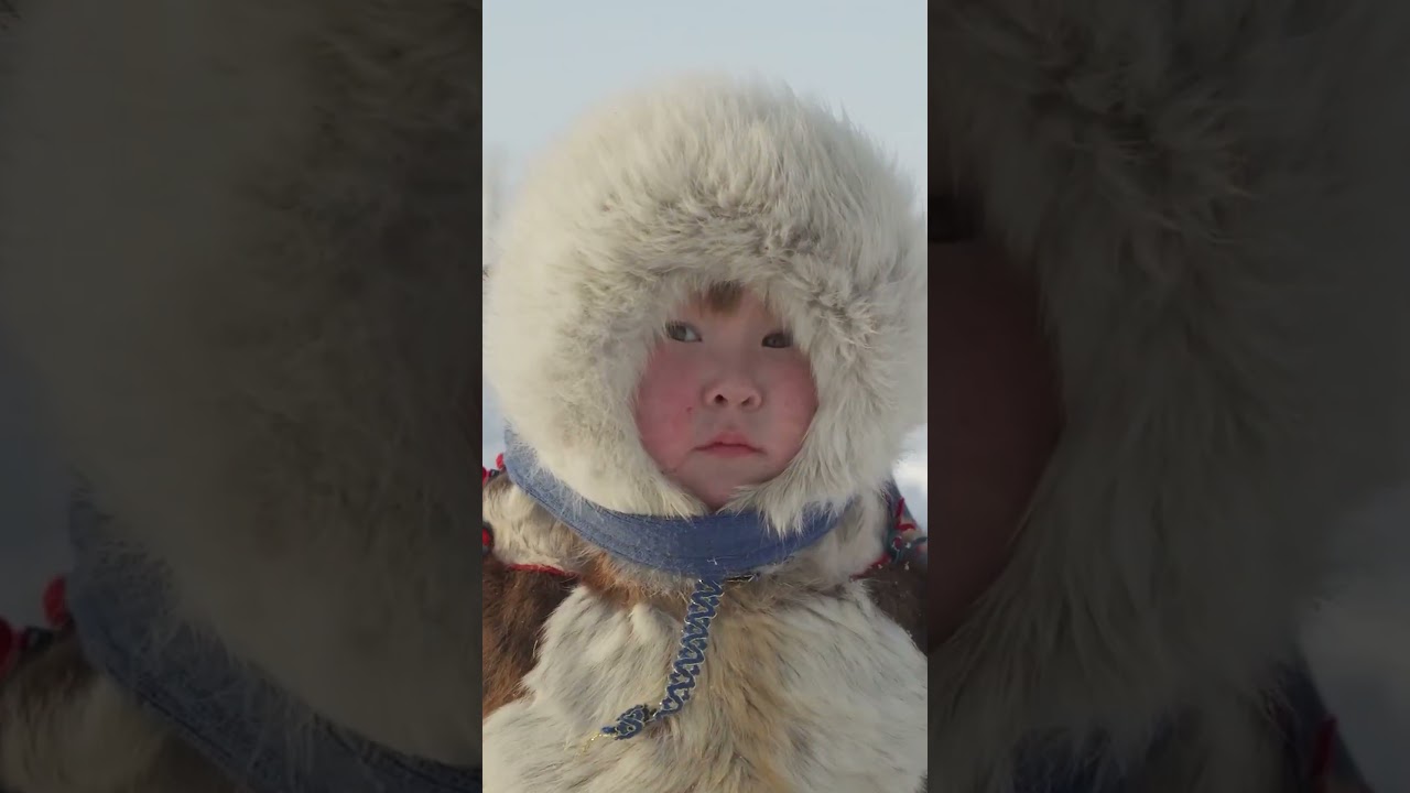 Чум — традиционное жильё ненцев на Ямале