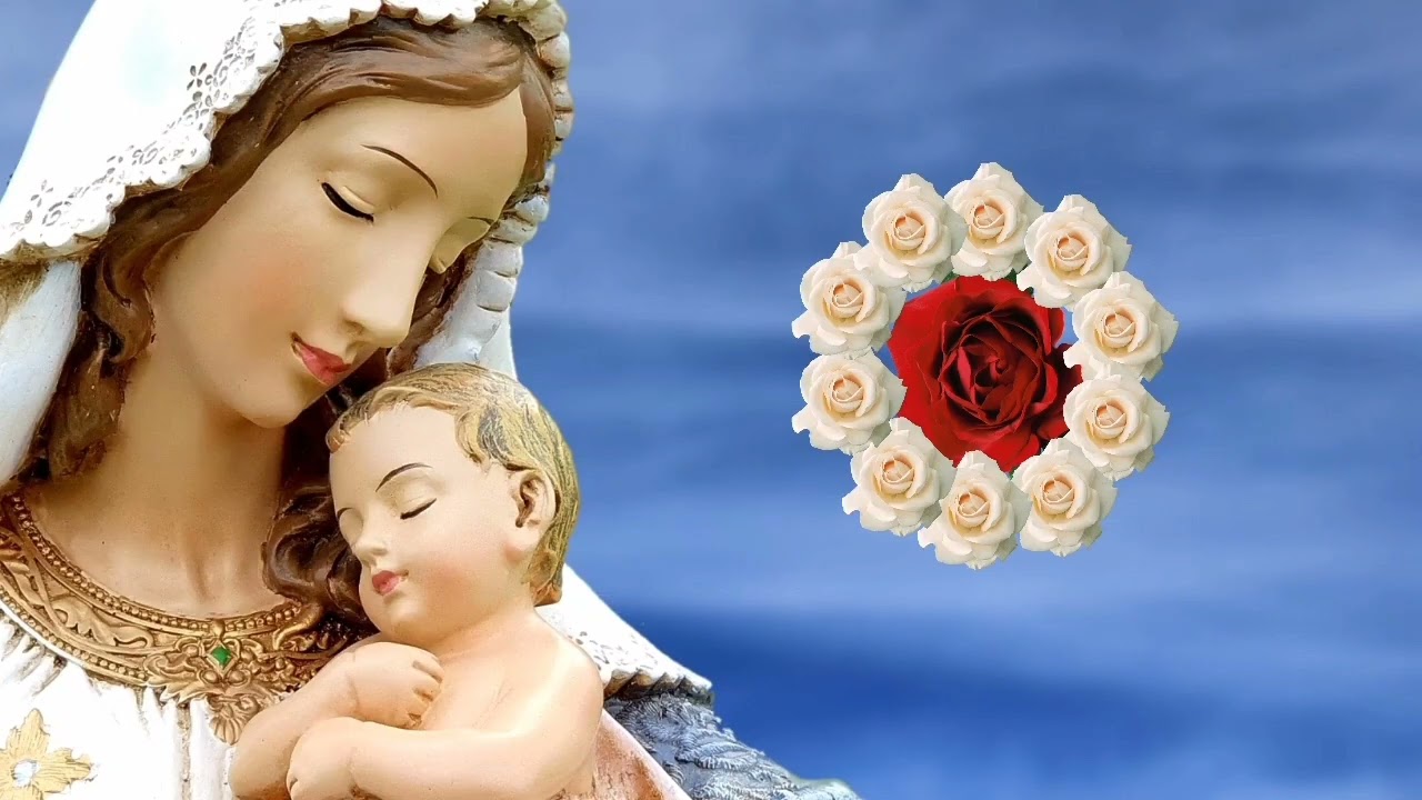 Rosario del Jueves | 30 de Octubre: Misterios Luminosos con Wilson Tamayo ✨