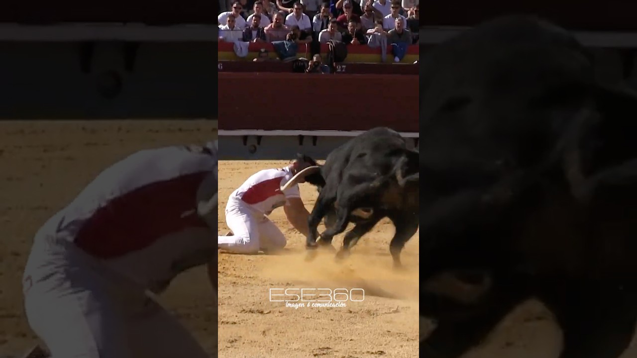 Campeonato de España de Recortadores 2023 en Castellón