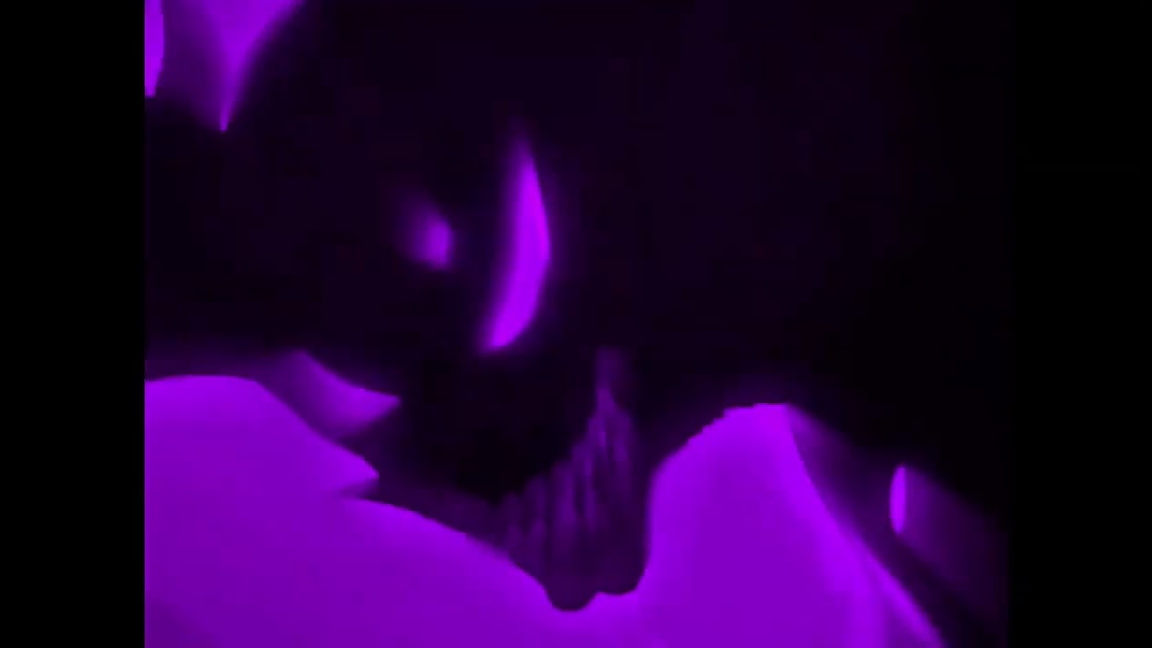 Playboi Carti - Cult Classic (Slowed & Perfected) 🎶