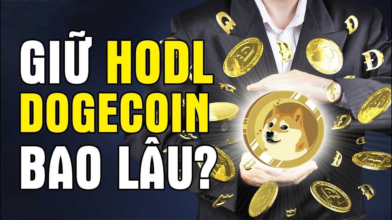 Khi nào nên mua, HODL, bán Dogecoin? 🚀