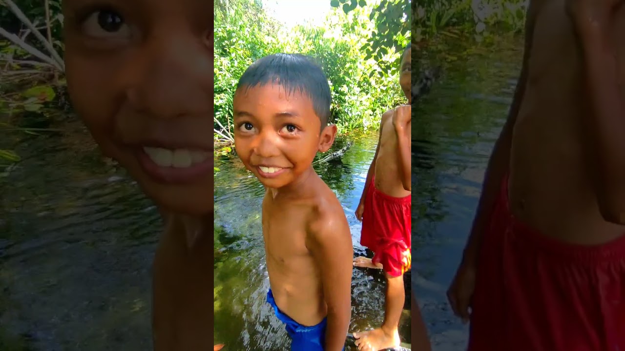 Menemukan Sungai Jernih di Hutan 🌲