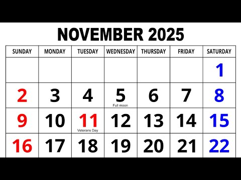 Calendar November 2025 | November Calendar 2025 with Holidays | English Calendar | 2025 Calendar