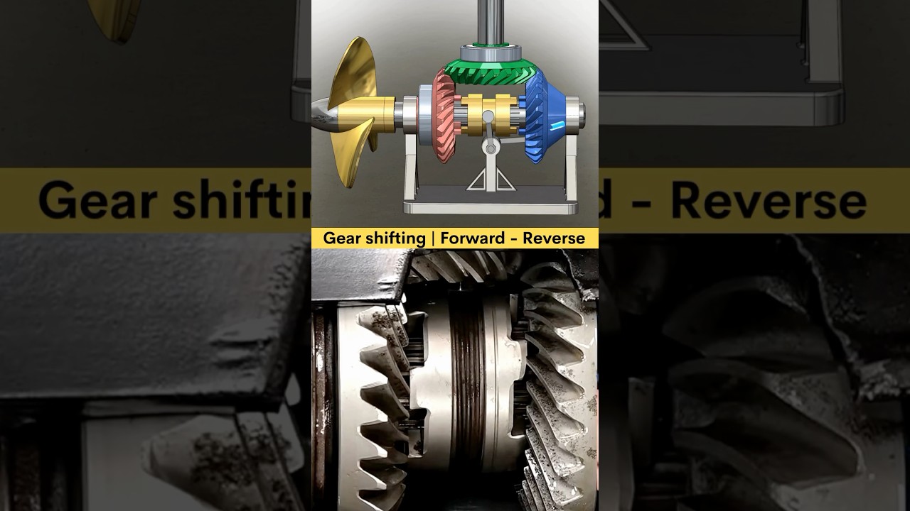 Evinrude Gearbox: Forward to Reverse Shift 🚤