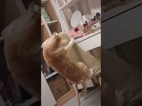 Когда узнал, что эта рабочая неделя шестидневная🥲