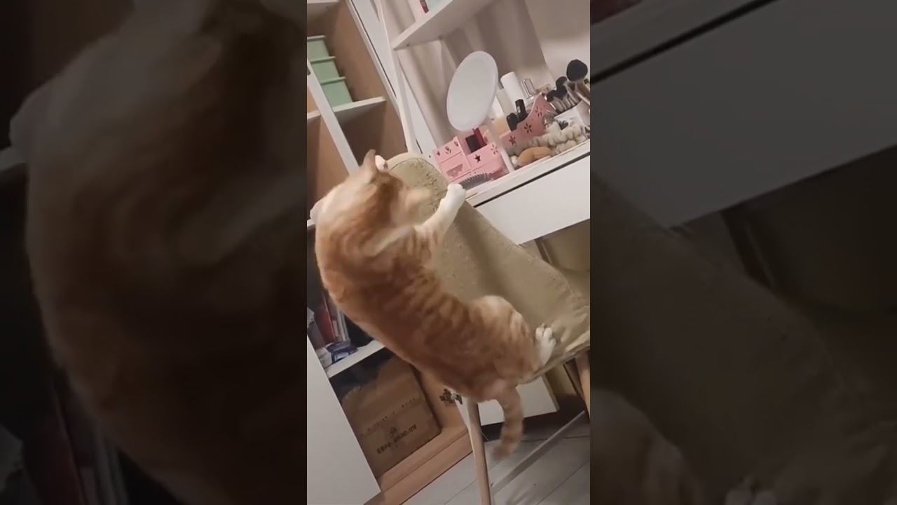 Осознание шестидневной рабочей недели