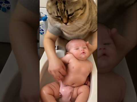 Mother cat baths the baby #kindness #emotional #youtubeshorts