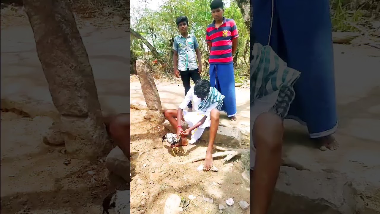 Aadukalam Movie Mass Scene 🔥