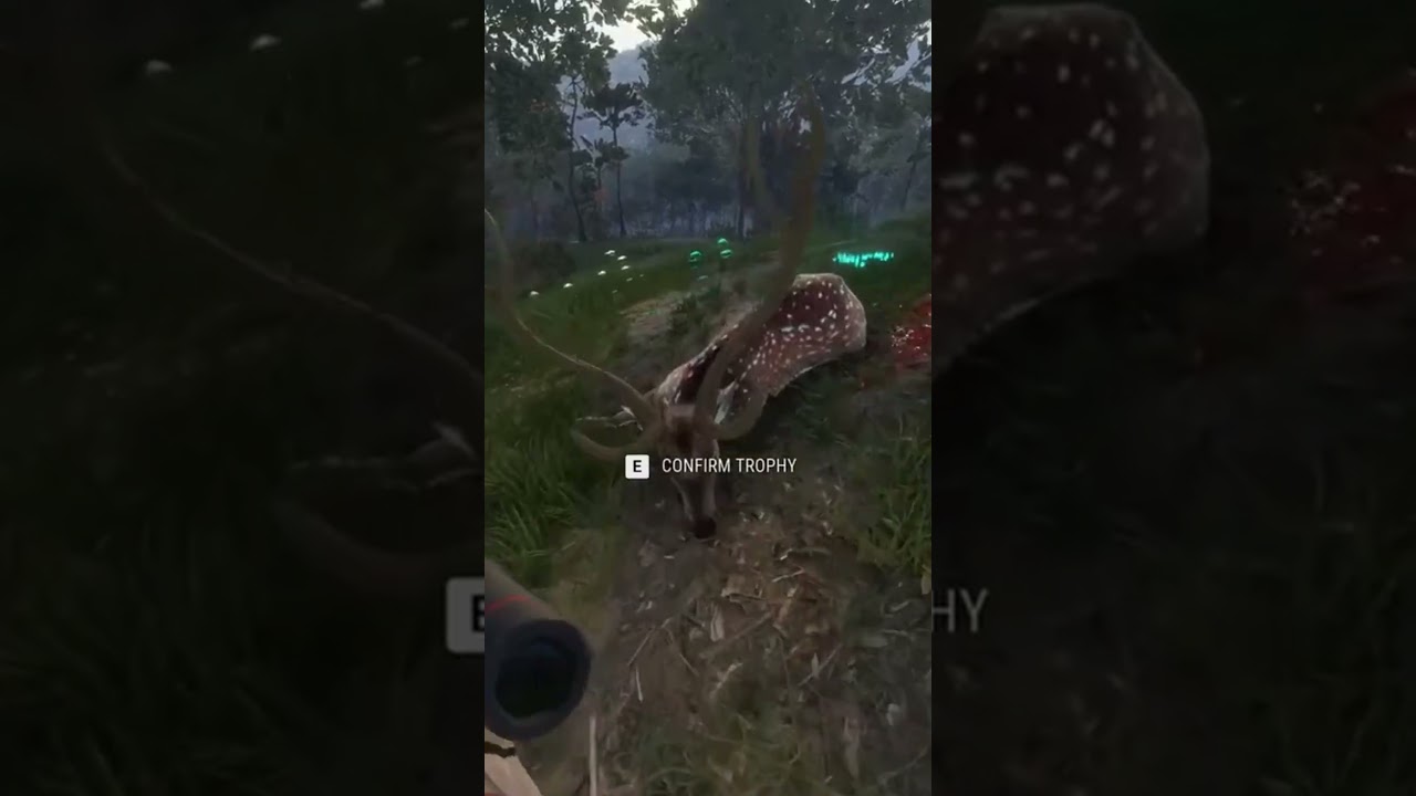 Big Axis Deer Feeding in theHunter: Call of the Wild 🦌