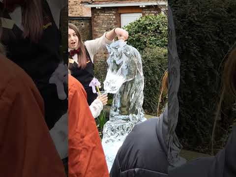 Insane Ice Sculpture! York Ice Trail 2023 | Ice Carvings | Ice Sculpting #shorts #ice #art