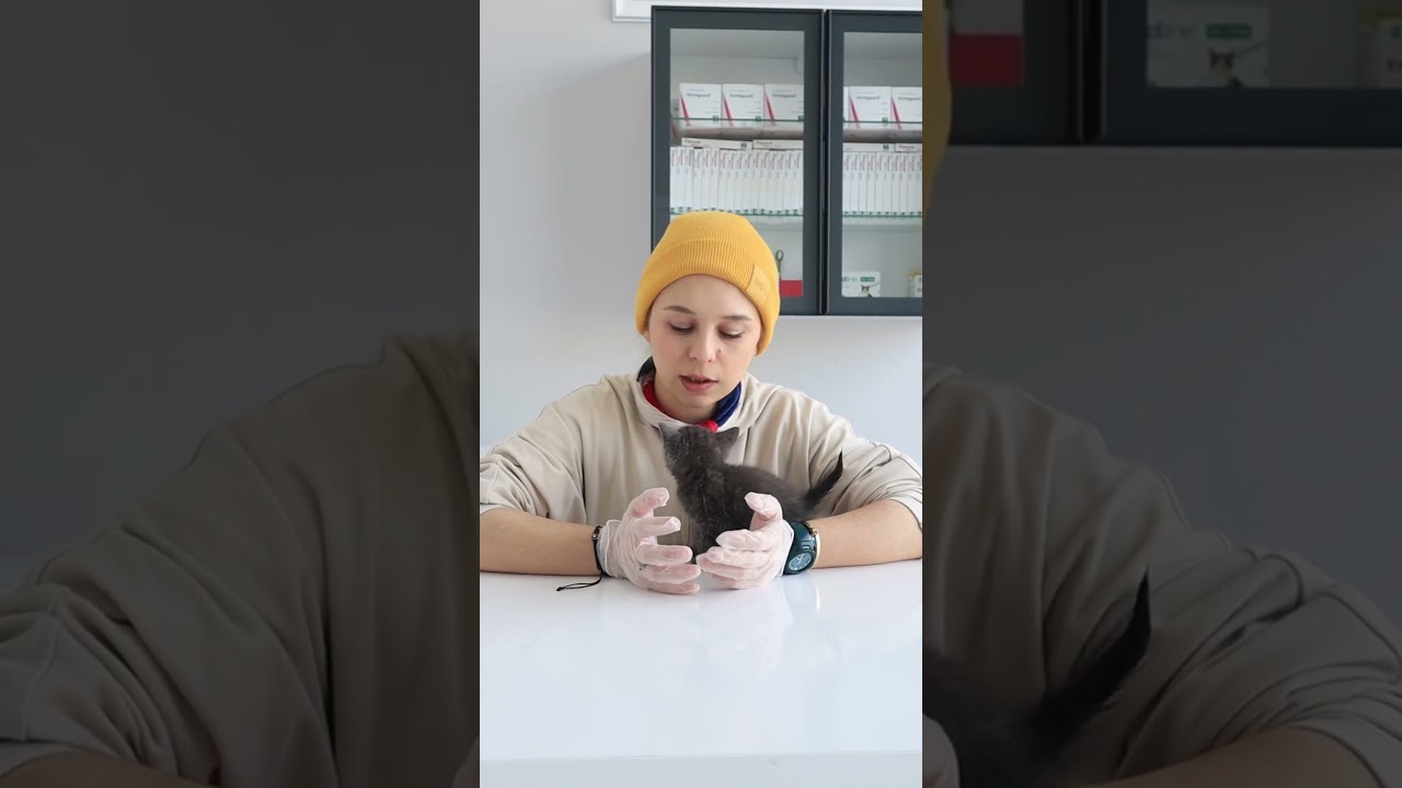 Kedinizin Gözü Akıyor mu? 🐱