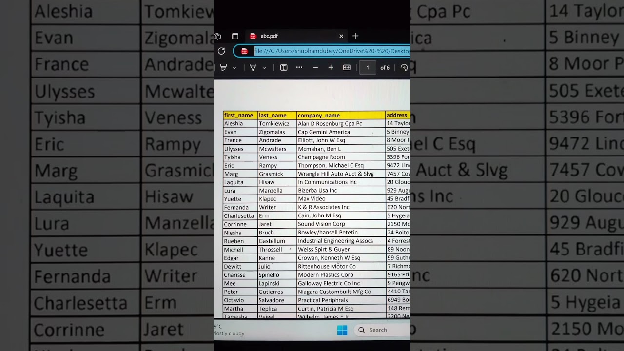 Convert PDF Files to Excel Format | Easy Loading Method